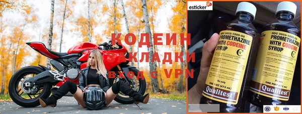 твердый Абаза