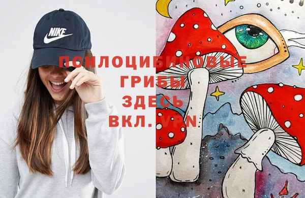 героин Алексин