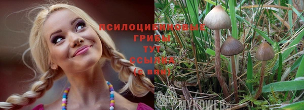 соль ск Абинск