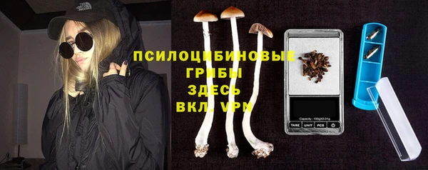 героин Алексин