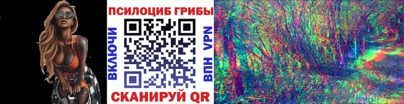 Галлюциногенные грибы Magic Shrooms Димитровград