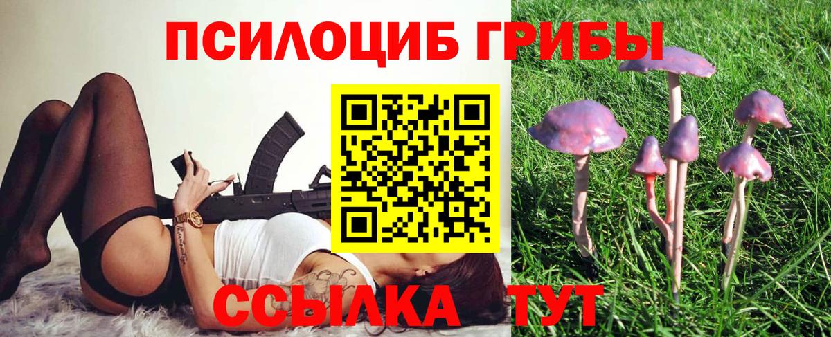 Галлюциногенные грибы Psilocybe  Вход с VPN  Димитровград 