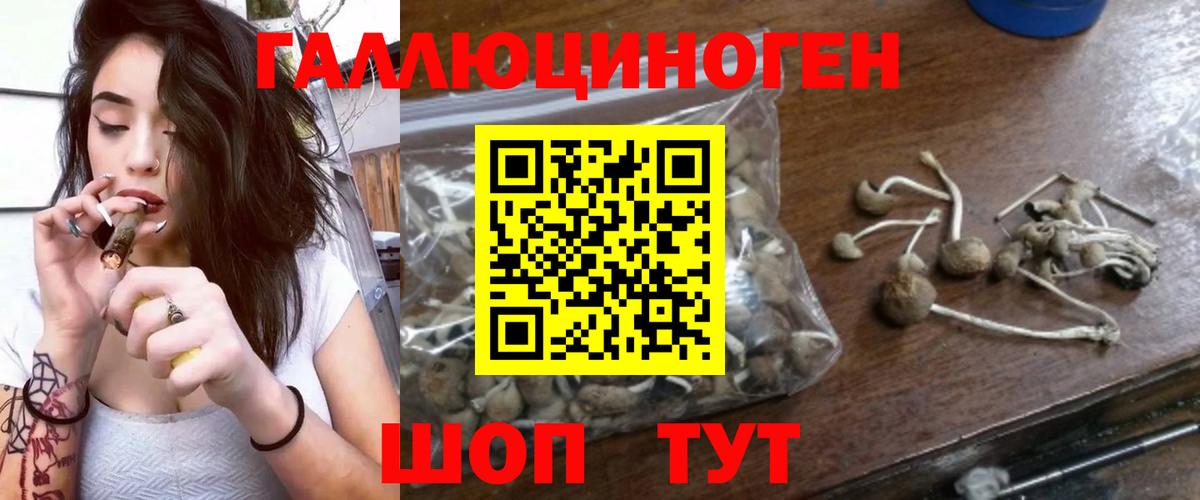 Псилоцибиновые грибы Magic Shrooms Димитровград