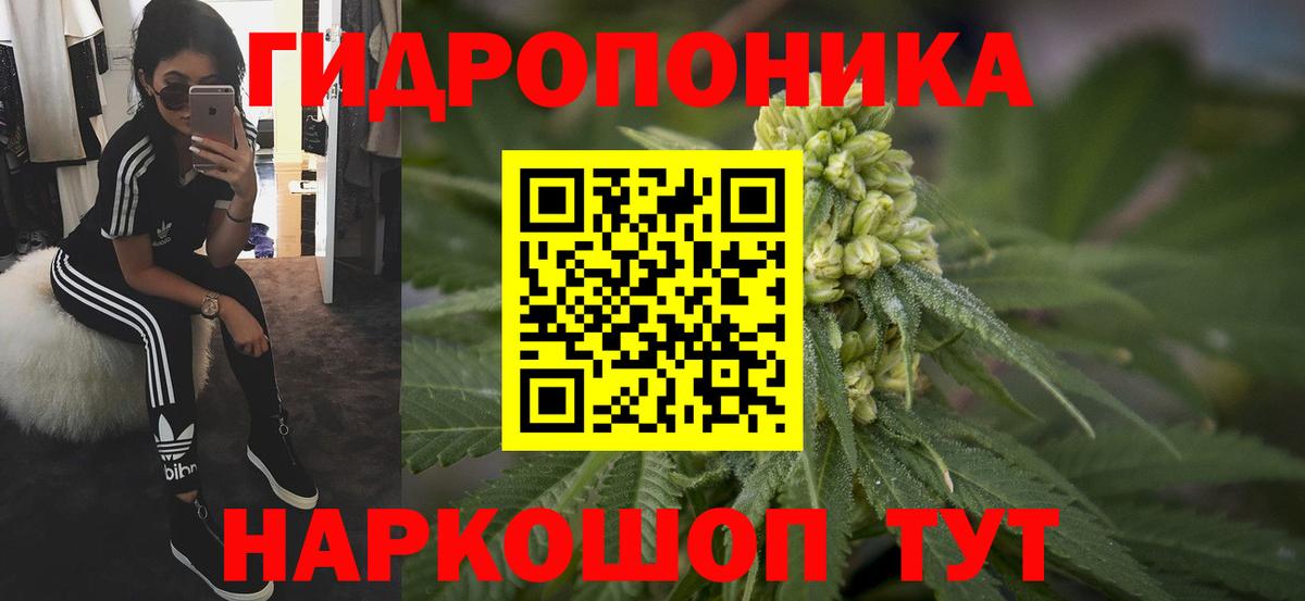 Марихуана Димитровград